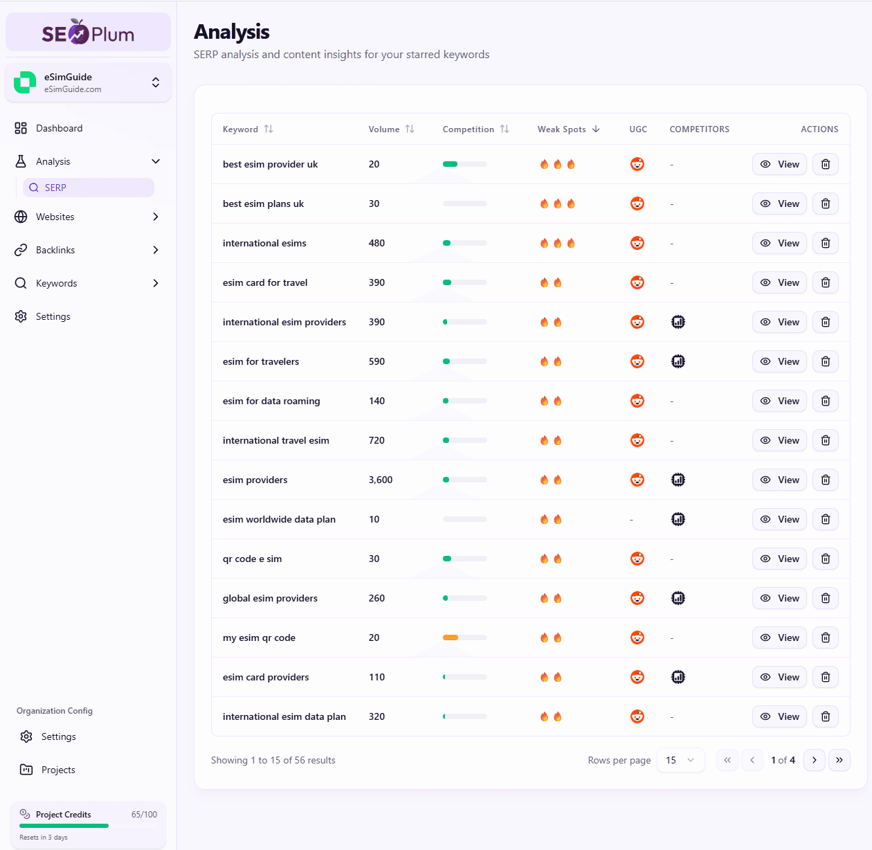 SEO Plum dashboard showing keyword analysis and SERP tracking